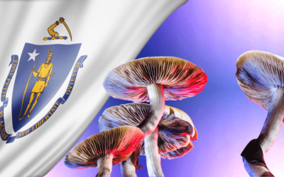Will Massachusetts Follow in Oregon’s Footsteps and Legalize Psilocybin?