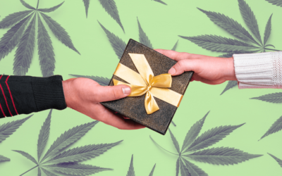 Can You Give Cannabis As A Gift In Massachusetts?